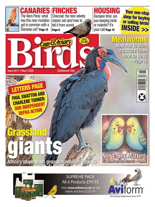 Cover image for Cage & Aviary Birds